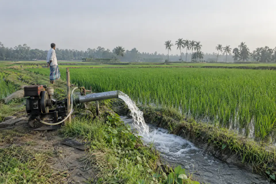Illustration: a shallow tube well pumping water through galvanized steel pipe into a rice field