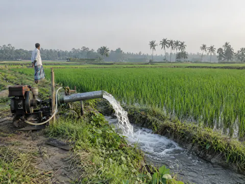 Illustration: a shallow tube well pumping water through galvanized steel pipe into a rice field